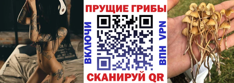 Галлюциногенные грибы прущие грибы  KRAKEN как зайти  Бор 
