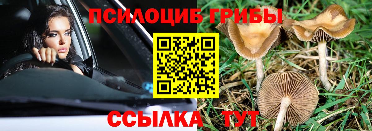 Бор  Галлюциногенные грибы ЛСД  Вход с VPN 